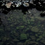 Previous image